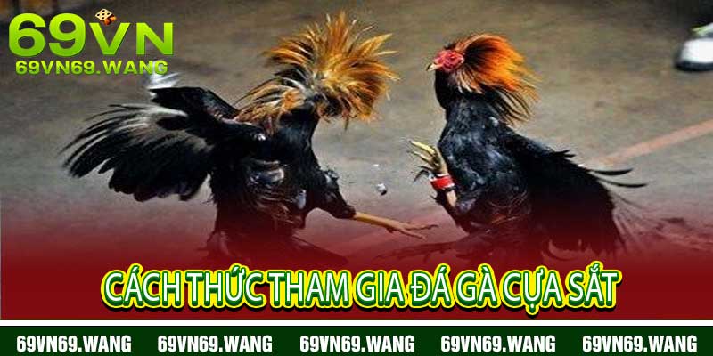đá gà cựa sắt