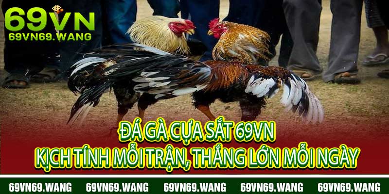 Đá Gà Cựa Sắt