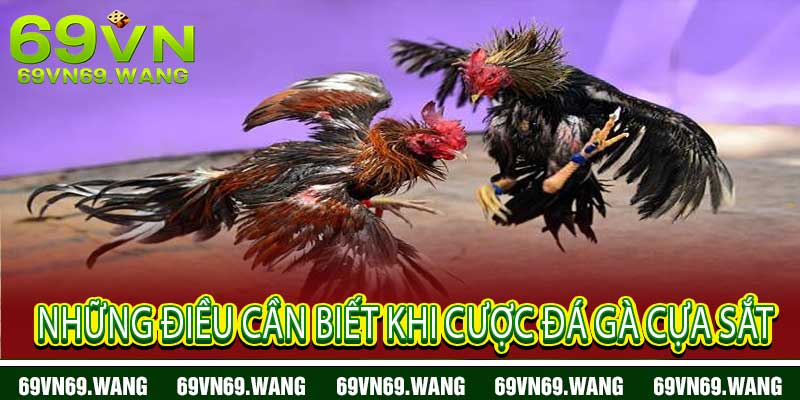 đá gà cựa sắt